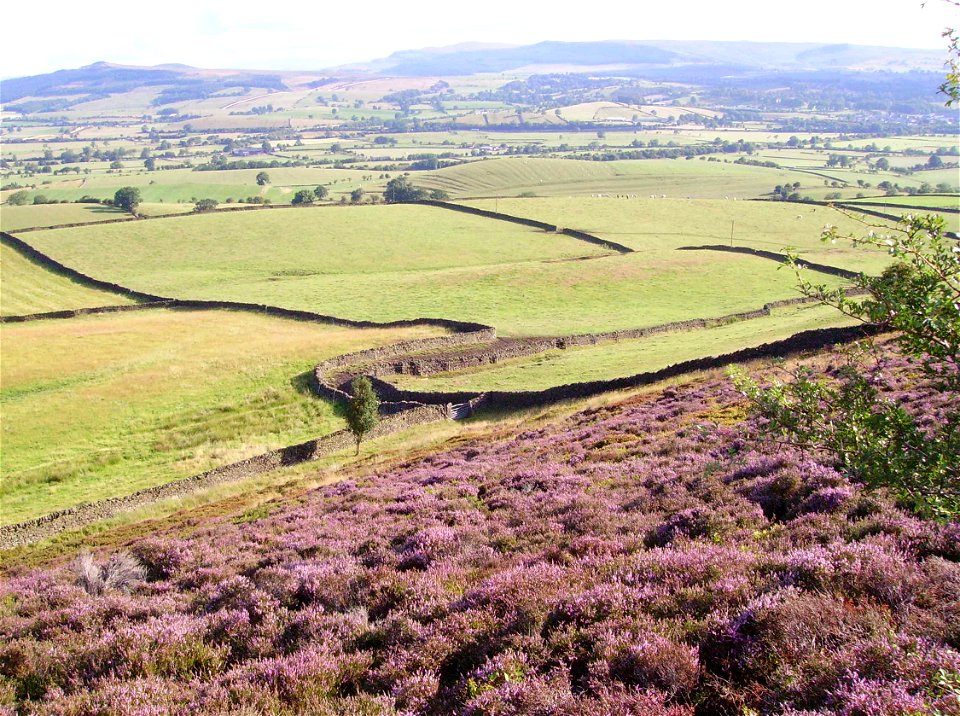 Dry stone wall in North Yorkshire, United Kingdom photo