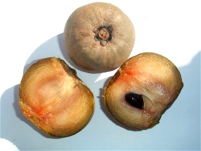 Manilkara zapota, bought at the Binnenrotte market in Rotterdam, The Netherlands