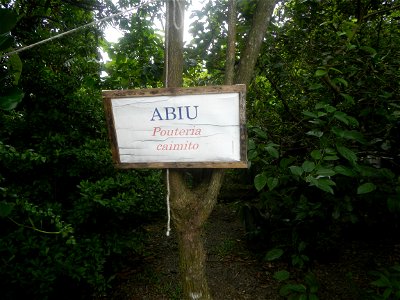 Aven's Nature Farm Artemio G. Veneracion President of ARaMP, Inc. in Barangays Santa Barbara, 14°56'21"N 120°53'25"E Baliuag, Bulacan, Bulacan (Note: Judge Florentino Floro, the owner, to repeat, Dono