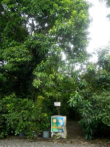 Aven's Nature Farm Artemio G. Veneracion President of ARaMP, Inc. in Barangays Santa Barbara, 14°56'21"N 120°53'25"E Baliuag, Bulacan, Bulacan (Note: Judge Florentino Floro, the owner, to repeat, Dono