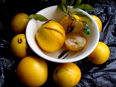 Category:Pouteria caimito - or Abiu fruit. 

fruta do Abieiro