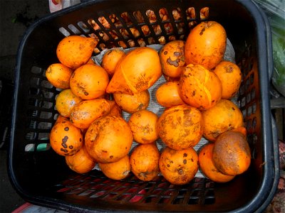 Pouteria campechiana