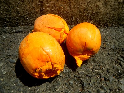 Photos taken during the 2020 coronavirus pandemic in Meycauayan, Bulacan Timeline of the 2020 coronavirus pandemic in the Philippines  2020 coronavirus pandemic in the Philippines Bayanihan to Heal as
