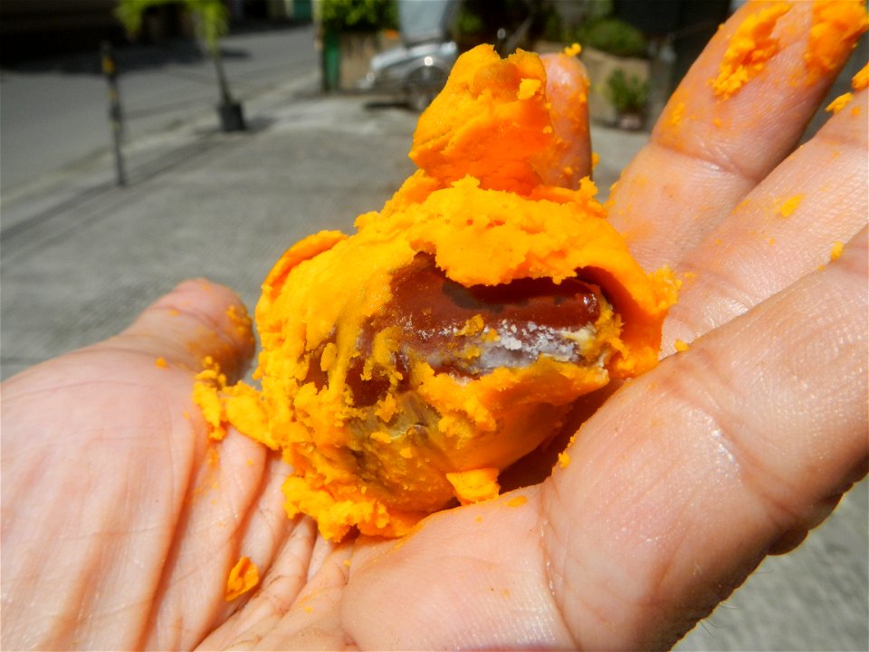 Tiesa fruits and seeds textures Pouteria campechiana Canistel Sapotaceae Tiesa Pouteria campechiana (Kunth) Baehni Egg Fruit Photos taken during the 2020 coronavirus pandemic in Baliuag, Bulacan Modif
