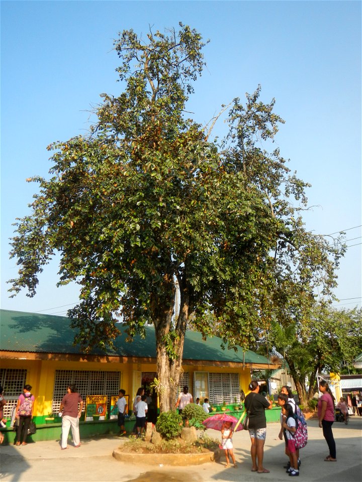 Mahal na Señor Santo Cristo Chapel (Bunsuran I, Pandi, Bulacan) Bunsuran I, Bunsuran II and Bunsuran III, Pandi, Bulacan Municipal and Provincial Roads to the Masuso, Pandi, Bulacan Farm-to-Market Roa