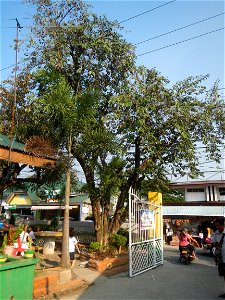 Construction of Pandi, Bulacan District Hospital; Megamart Pandi Bulacan Polytechnic College (Pandi Campus, Government Center, Bunsuran I, Bulacan) Association of Local Colleges and Universities or si