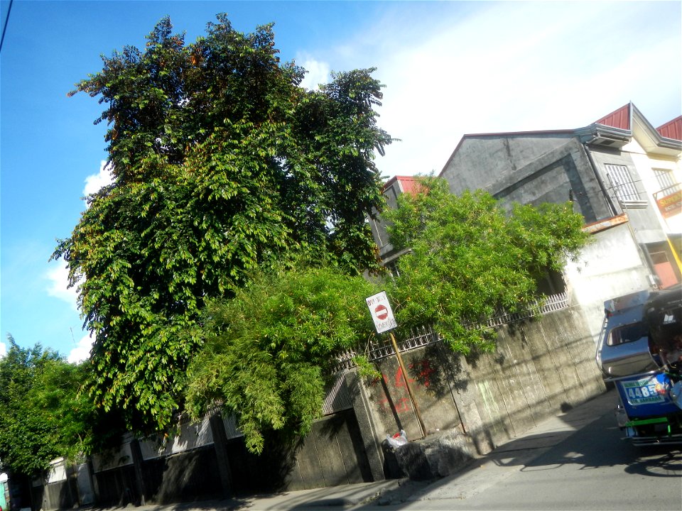 Poblacion, Baliuag, Bulacan during Timeline of the 2020 coronavirus pandemic in the Philippines  2020 coronavirus pandemic in the Philippines Bayanihan to Heal as One Act (RA 11469) Bayanihan Act of 2
