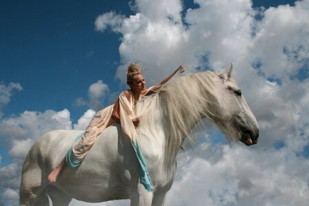 White horse shire sky photo