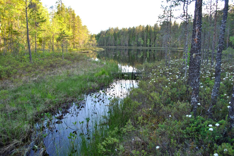 Soltjärnen, Floda socken, Dalarna en midsommarkväll 2015