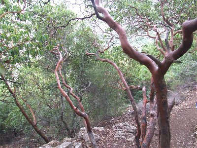 Geography of  Israel