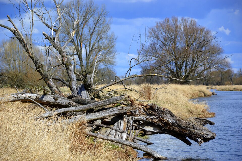 Or meadows brandenburg river