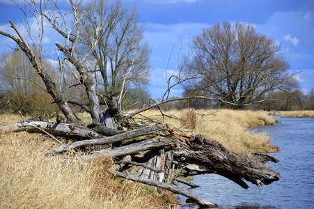 Or meadows brandenburg river