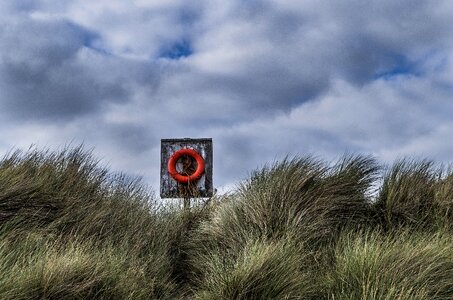 Coast sand red