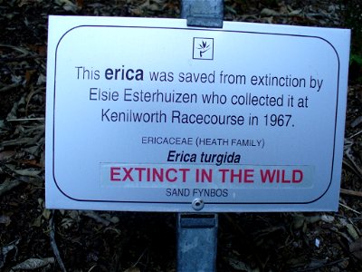 Extinct in the wild