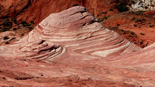 Park america landscape