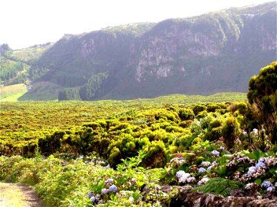 Caldeira Guilherme Moniz, Angra do Heroísmo, ilha Terceira, Açores, Portugal.