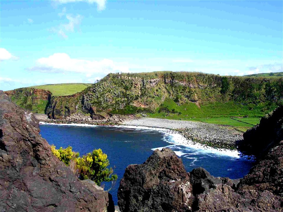 Reserva Natural da Alagoa da Fajãzinha, Erica azorica,  ilha Terceira, Açores, Portugal.
