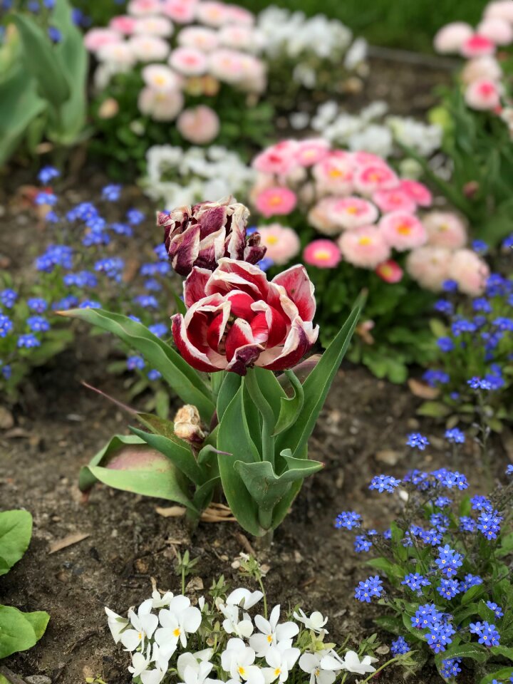 Leaf garden floral