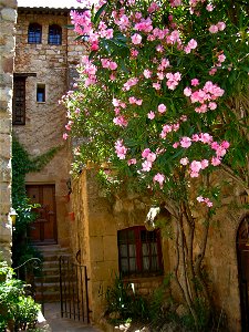 Street Agnely, Les Arcs sur Argens, France photo