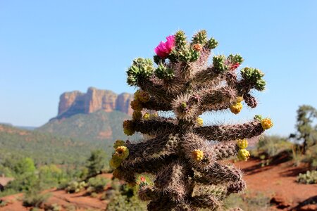Nature america travel