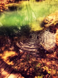 Pond river water