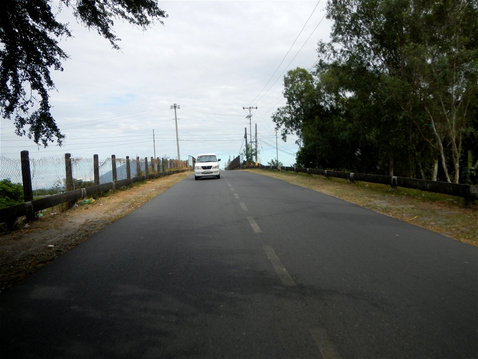 Plumeria rubra in the Philippines, Camachiles-Sapang Biabas-Bical, Mabalacat City, Pampanga Farm to Market Road in Barangay Bical, beside Camachiles, Sapang Biabas, Mabalacat City, Pampanga, Hall, Cha