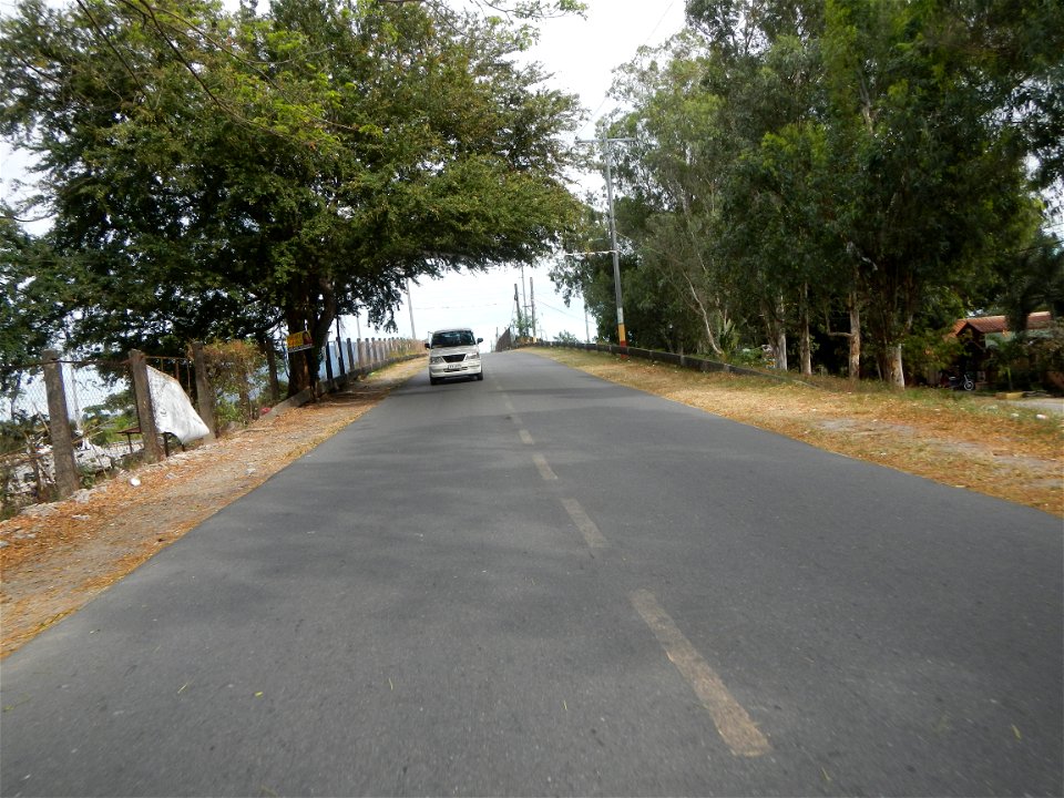 Plumeria rubra in the Philippines, Camachiles-Sapang Biabas-Bical, Mabalacat City, Pampanga Farm to Market Road in Barangay Bical, beside Camachiles, Sapang Biabas, Mabalacat City, Pampanga, Hall, Cha