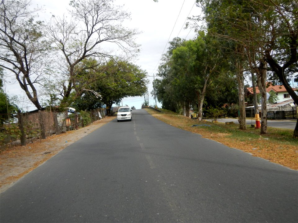 Plumeria rubra in the Philippines, Camachiles-Sapang Biabas-Bical, Mabalacat City, Pampanga Farm to Market Road in Barangay Bical, beside Camachiles, Sapang Biabas, Mabalacat City, Pampanga, Hall, Cha