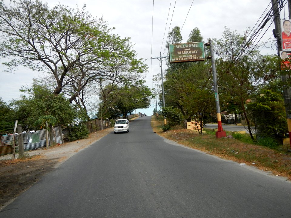 Plumeria rubra in the Philippines, Camachiles-Sapang Biabas-Bical, Mabalacat City, Pampanga Farm to Market Road in Barangay Bical, beside Camachiles, Sapang Biabas, Mabalacat City, Pampanga, Hall, Cha