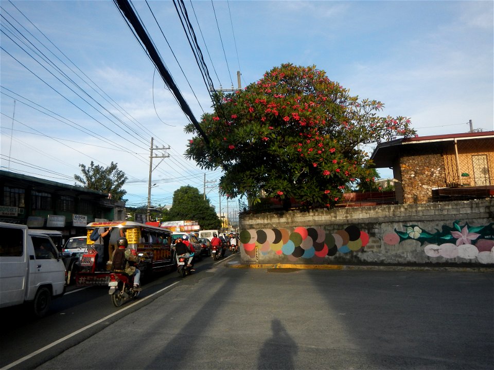 Andres Bonifacio Avenue by the Barangka Viaduct (Marikina City) Load limit 20 metric tons K0014+1081 K0014+1241 length 160 meters Monte Vista Footbridge (Marcos Highway, Industrial Valley - Barangaka,