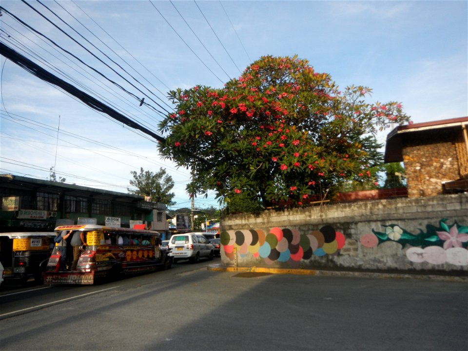 Andres Bonifacio Avenue by the Barangka Viaduct (Marikina City) Load limit 20 metric tons K0014+1081 K0014+1241 length 160 meters Monte Vista Footbridge (Marcos Highway, Industrial Valley - Barangaka,