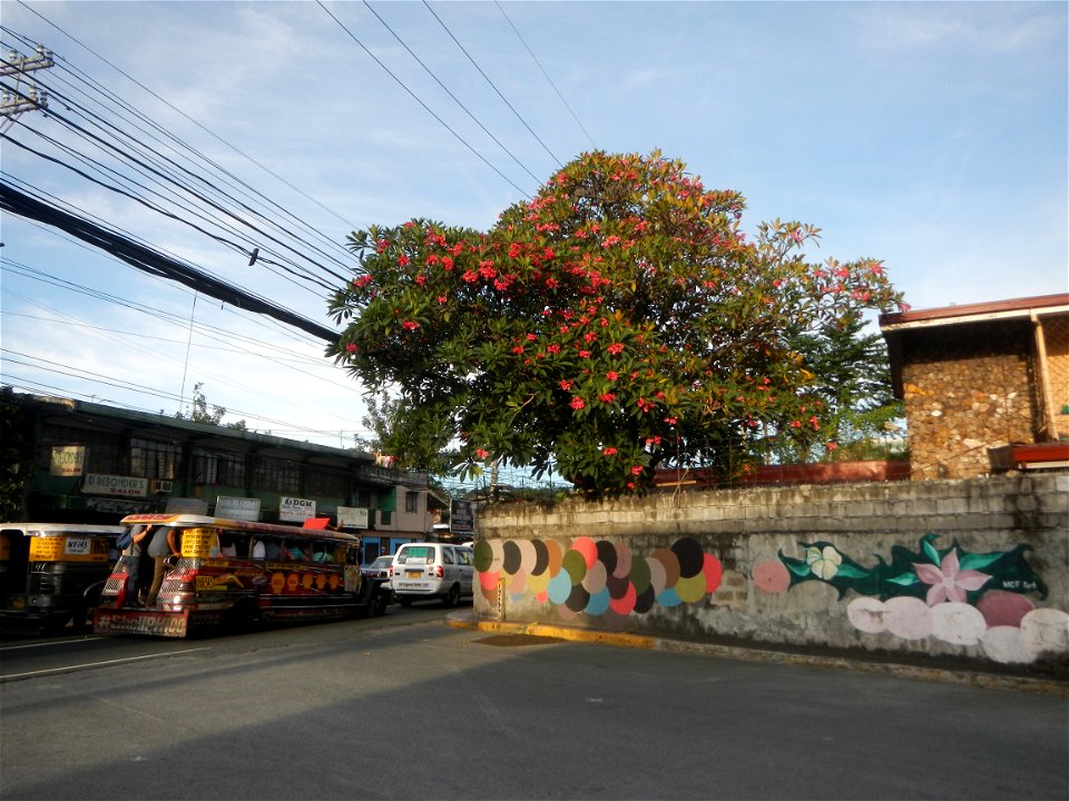 Andres Bonifacio Avenue by the Barangka Viaduct (Marikina City) Load limit 20 metric tons K0014+1081 K0014+1241 length 160 meters Monte Vista Footbridge (Marcos Highway, Industrial Valley - Barangaka,