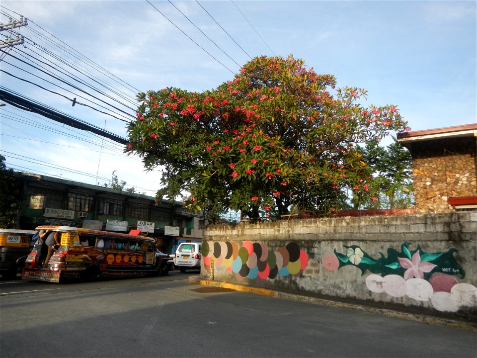 Andres Bonifacio Avenue by the Barangka Viaduct (Marikina City) Load limit 20 metric tons K0014+1081 K0014+1241 length 160 meters Monte Vista Footbridge (Marcos Highway, Industrial Valley - Barangaka,