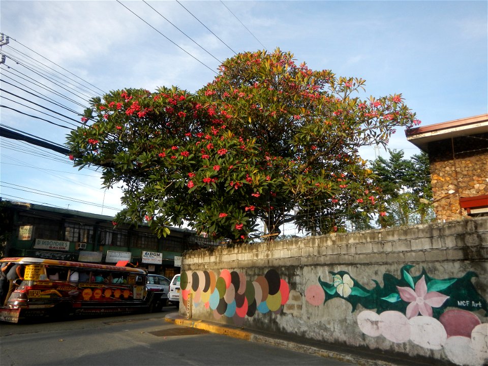 Andres Bonifacio Avenue by the Barangka Viaduct (Marikina City) Load limit 20 metric tons K0014+1081 K0014+1241 length 160 meters Monte Vista Footbridge (Marcos Highway, Industrial Valley - Barangaka,
