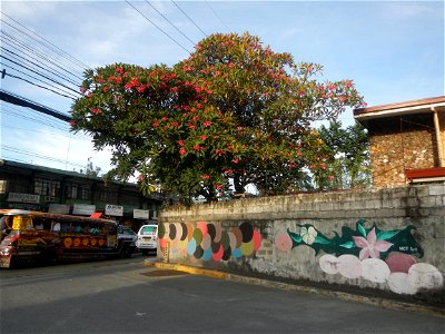 Andres Bonifacio Avenue by the Barangka Viaduct (Marikina City) Load limit 20 metric tons K0014+1081 K0014+1241 length 160 meters Monte Vista Footbridge (Marcos Highway, Industrial Valley - Barangaka,