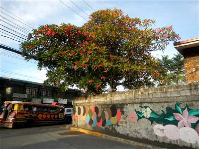 Andres Bonifacio Avenue by the Barangka Viaduct (Marikina City) Load limit 20 metric tons K0014+1081 K0014+1241 length 160 meters Monte Vista Footbridge (Marcos Highway, Industrial Valley - Barangaka,