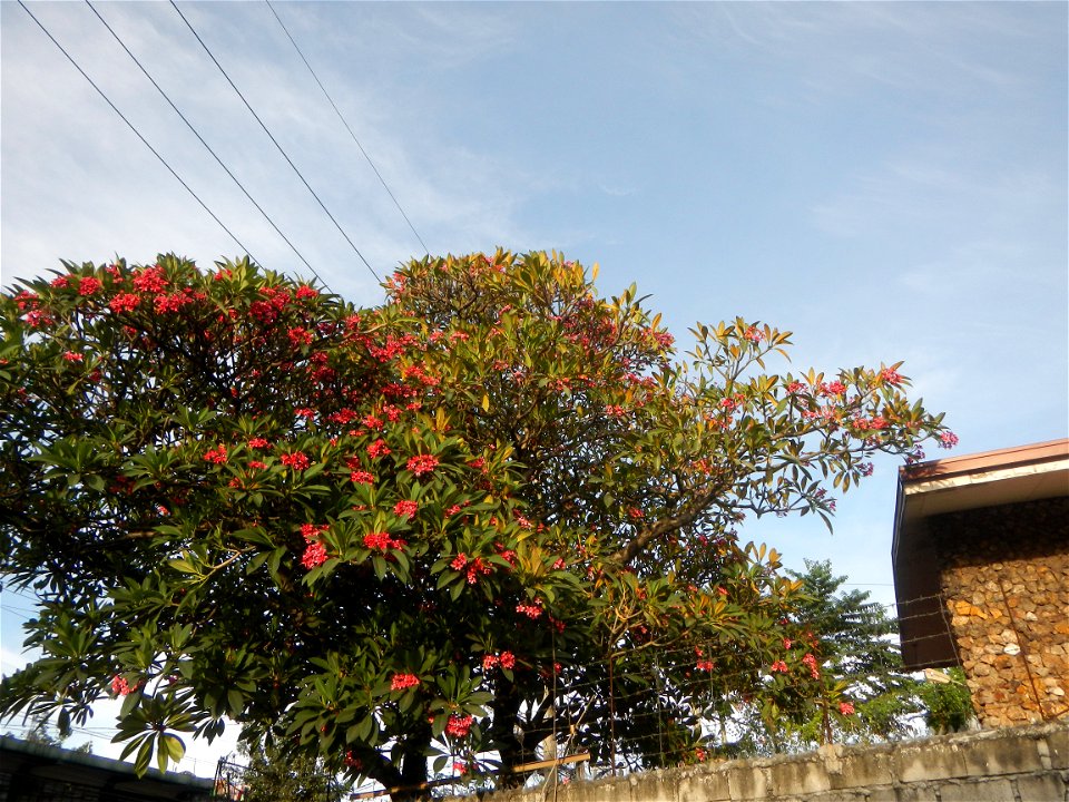 Andres Bonifacio Avenue by the Barangka Viaduct (Marikina City) Load limit 20 metric tons K0014+1081 K0014+1241 length 160 meters Monte Vista Footbridge (Marcos Highway, Industrial Valley - Barangaka,