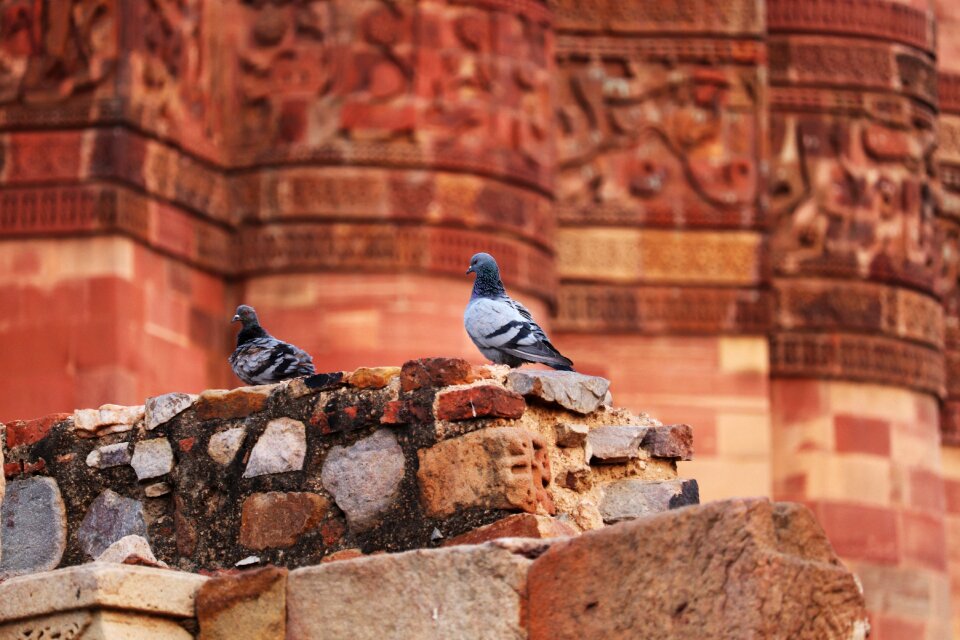 Stone brick travel