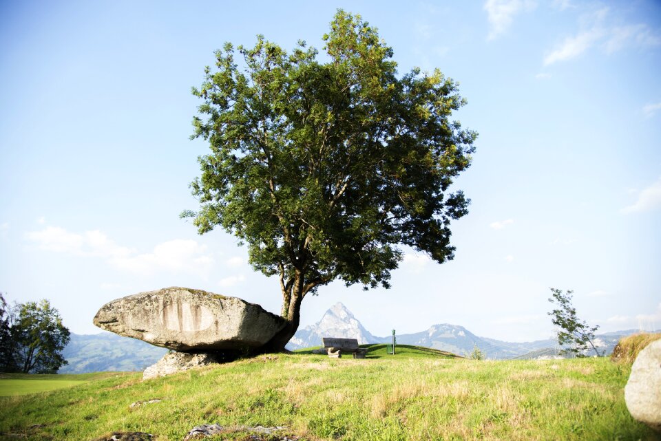 Rock stone nature