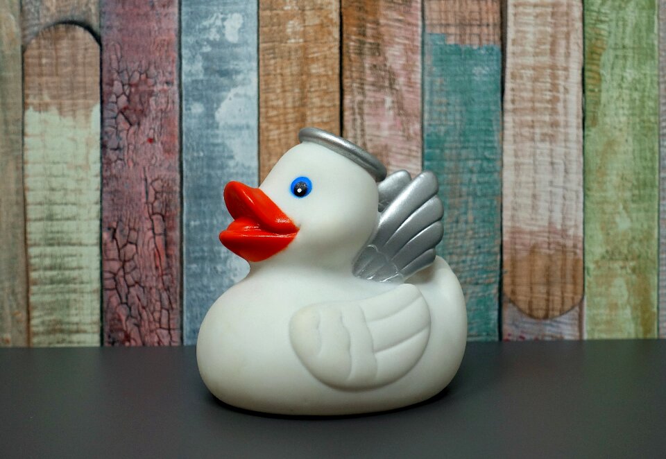 Bath duck fun bathing cute