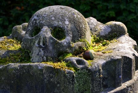 Stone sculpture skull cemetery