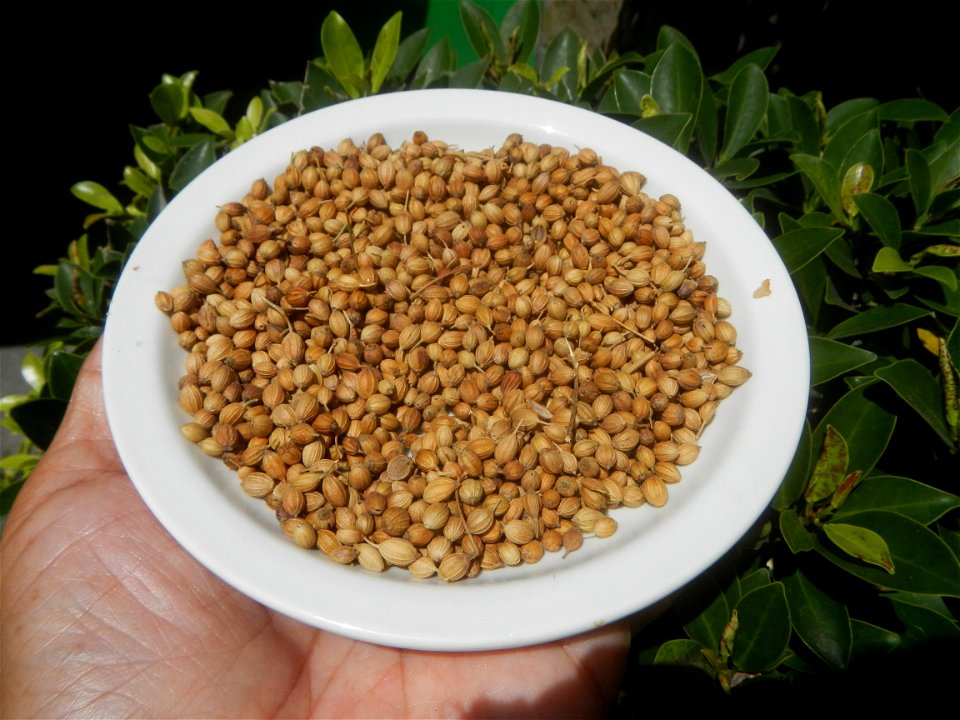 Cuisine of Baliuag Bulacan