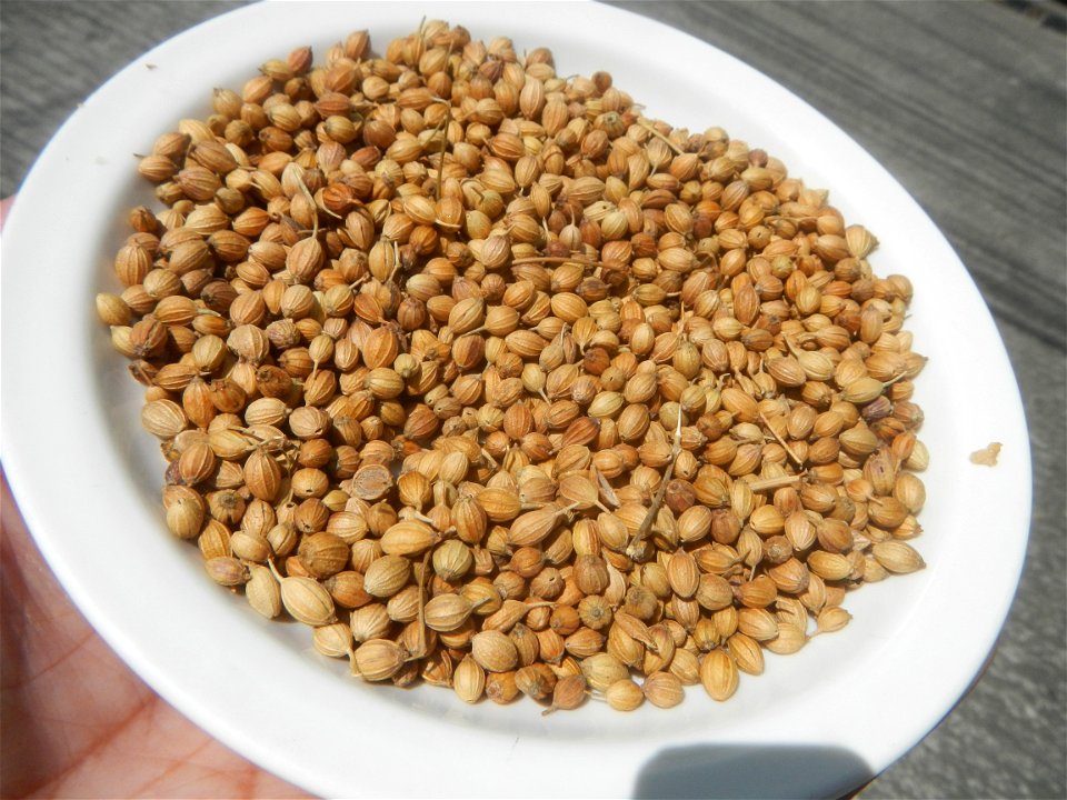 Cuisine of Baliuag Bulacan