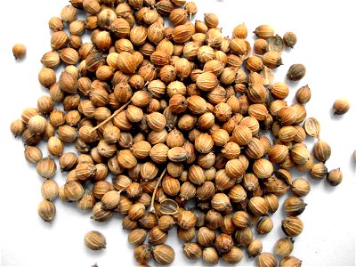 Coriandre en grain (Fruits de coriandre).