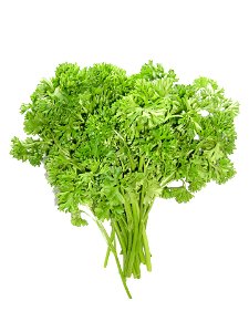 A bunch of parsley (Petroselinum crispum)