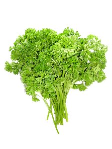 A bunch of parsley (Petroselinum crispum) photo