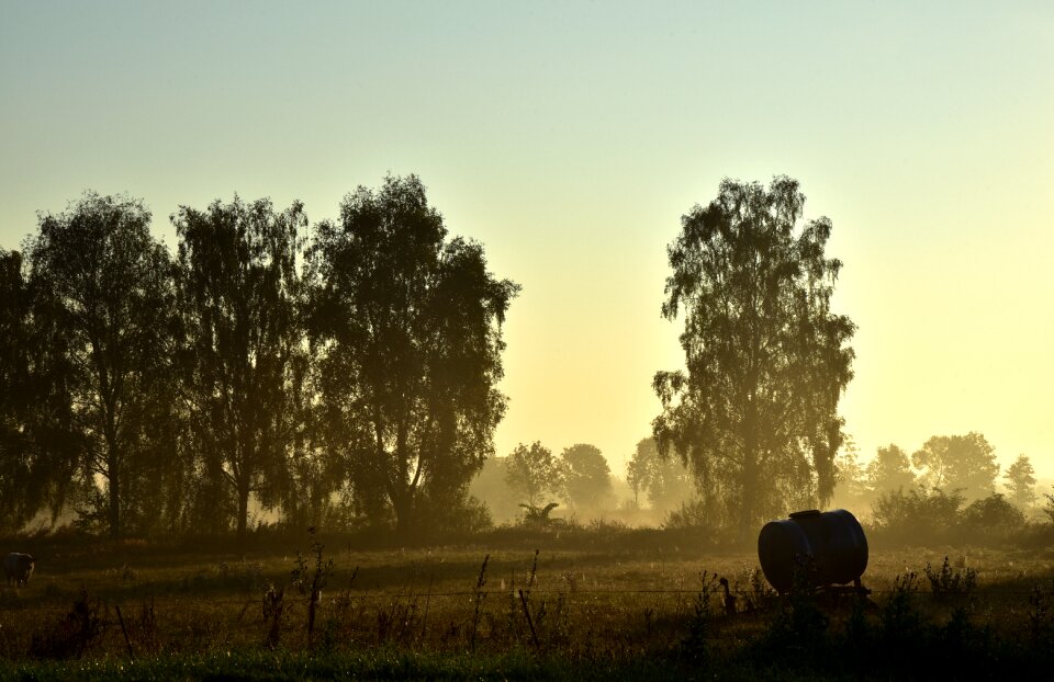 Mood sunrise fog