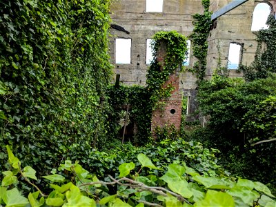 An overgrown building in Alcatraz Penetentiary.