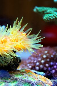 Nature wildlife ocean