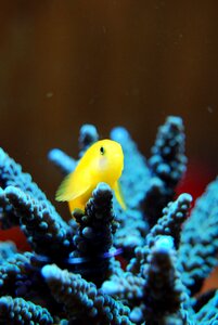 Nature wildlife ocean